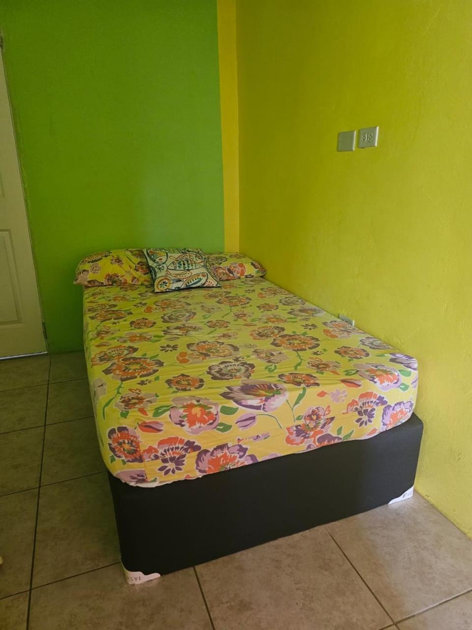 Fish Tobago Guesthouse Or Joy And Brandon Guesthouse Buccoo 객실 사진